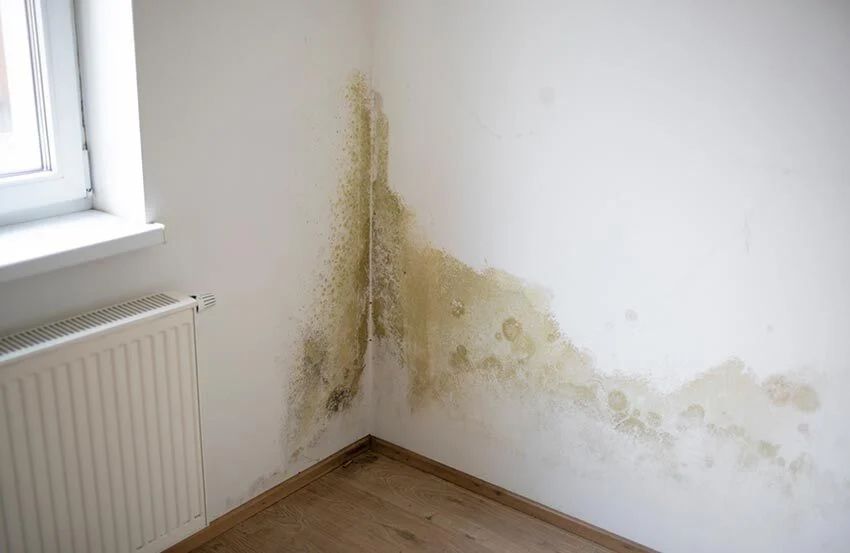 Damp and water-stained wall showing signs of a hidden leak